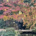 実際訪問したユーザーが直接撮影して投稿した住吉庭園楽水園の写真
