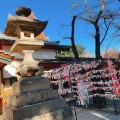 実際訪問したユーザーが直接撮影して投稿した二の丸神社眞田神社の写真