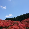 実際訪問したユーザーが直接撮影して投稿した櫛羅山 / 峠葛城山の写真