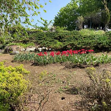 実際訪問したユーザーが直接撮影して投稿した高道植物園 / 樹木園富山県花総合センターの写真