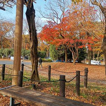 実際訪問したユーザーが直接撮影して投稿した三の丸都道府県庁愛知県庁の写真