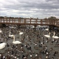 実際訪問したユーザーが直接撮影して投稿した水原湖沼 / 池瓢湖の写真