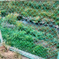 実際訪問したユーザーが直接撮影して投稿した河川境川の写真