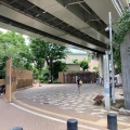 実際訪問したユーザーが直接撮影して投稿した関口公園江戸川公園の写真