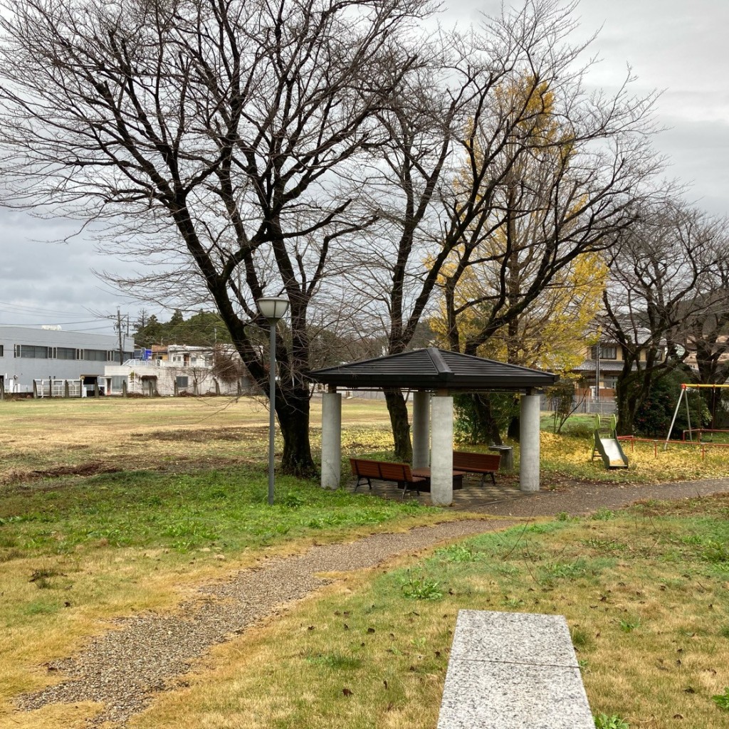 実際訪問したユーザーが直接撮影して投稿した柳町公園柳町公園の写真