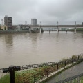 実際訪問したユーザーが直接撮影して投稿した河川太田川の写真