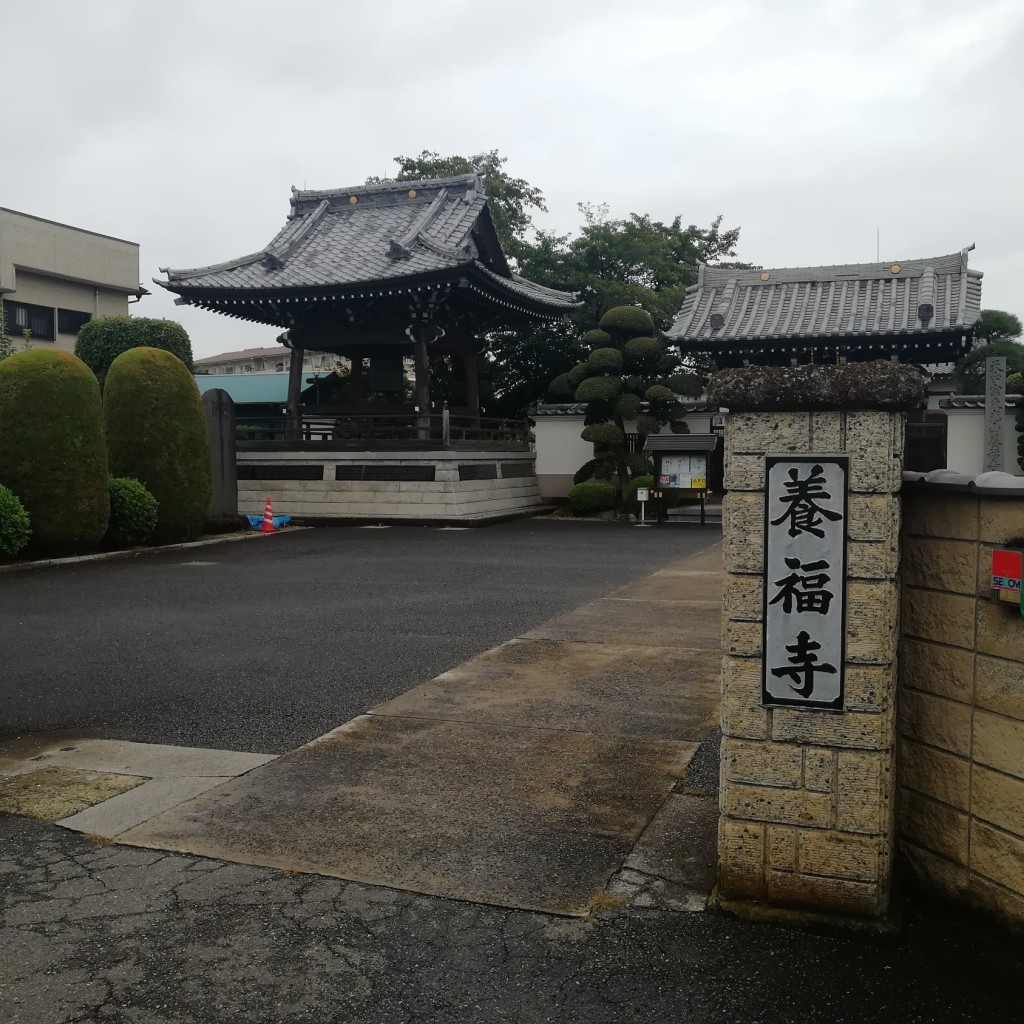 実際訪問したユーザーが直接撮影して投稿した三橋寺養福寺の写真