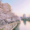 実際訪問したユーザーが直接撮影して投稿した河川大岡川の写真