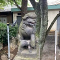 実際訪問したユーザーが直接撮影して投稿した西ケ原神社七社神社の写真