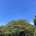 実際訪問したユーザーが直接撮影して投稿した砧公園軽食 / ホットスナックパークス 砧梅園前店の写真