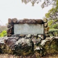 実際訪問したユーザーが直接撮影して投稿した東本郷山 / 峠寝姿山の写真