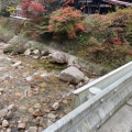 実際訪問したユーザーが直接撮影して投稿した栗栖カフェカフェテラス 北山の写真