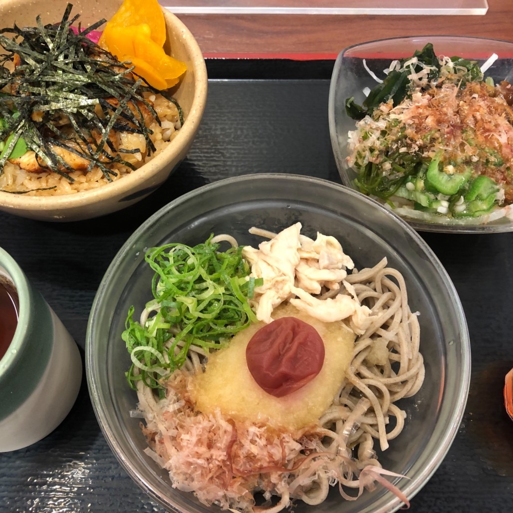 ユーザーが投稿した南高梅おろしそばの写真 - 実際訪問したユーザーが直接撮影して投稿した島津町定食屋ザめしや 京都伏見店の写真