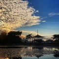 実際訪問したユーザーが直接撮影して投稿した公園大池公園の写真