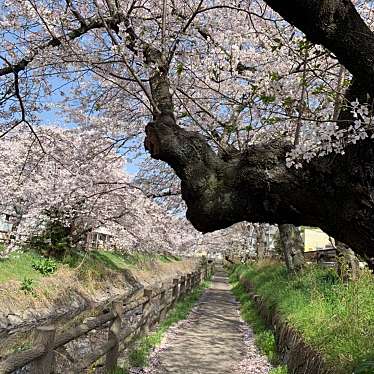 行屋川水辺公園のundefinedに実際訪問訪問したユーザーunknownさんが新しく投稿した新着口コミの写真