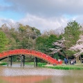 実際訪問したユーザーが直接撮影して投稿した金沢町寺金沢山 称名寺の写真