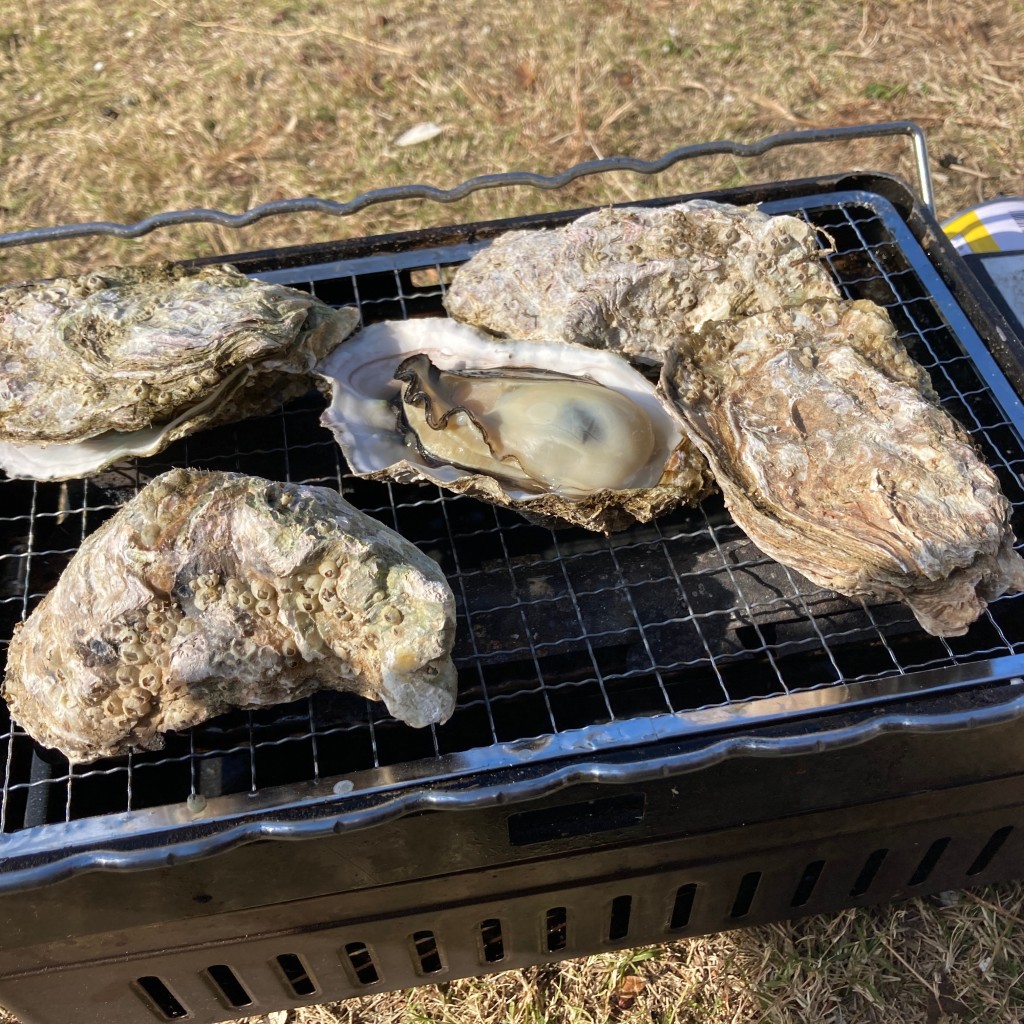 実際訪問したユーザーが直接撮影して投稿した平成ヶ浜お好み焼きお好み焼き ひろかわの写真