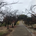 実際訪問したユーザーが直接撮影して投稿した早島公園早島公園の写真