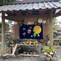 実際訪問したユーザーが直接撮影して投稿した斎宮神社竹神社の写真