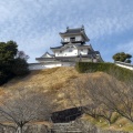 実際訪問したユーザーが直接撮影して投稿した掛川城 / 城跡掛川城公園の写真