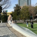 実際訪問したユーザーが直接撮影して投稿した金町公園セントラルパーク金公園の写真