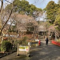 実際訪問したユーザーが直接撮影して投稿した根来寺根來寺の写真