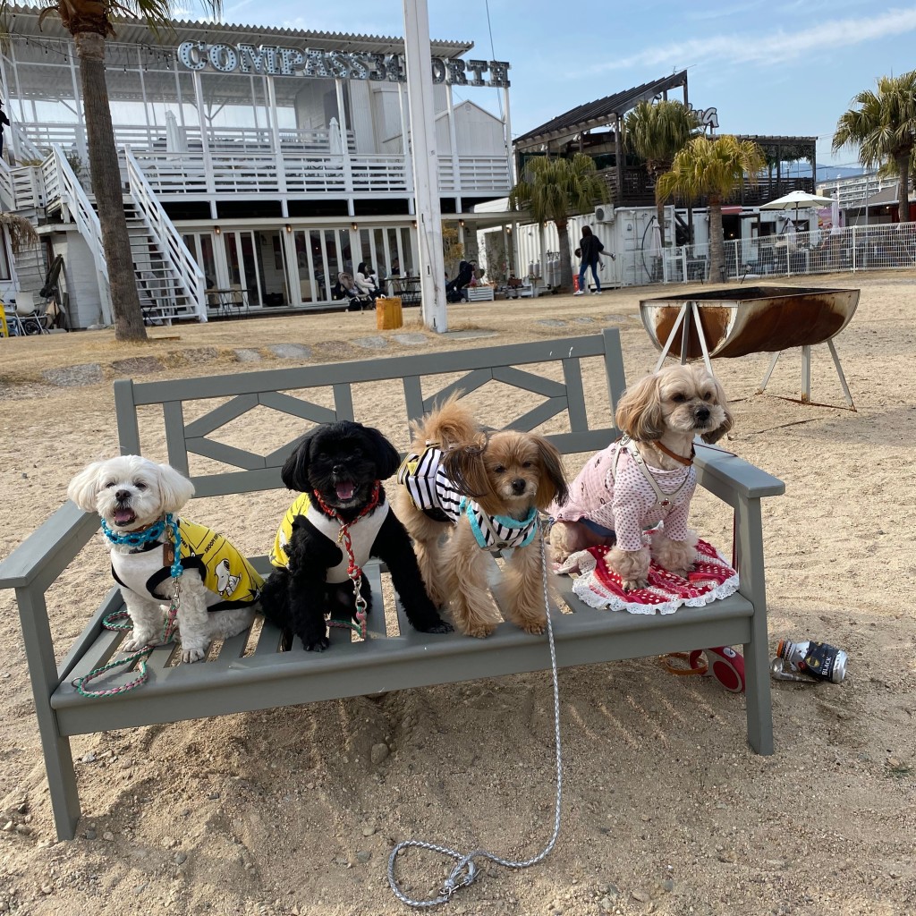 pakoさんが投稿した西波止町洋食のお店ALMARE sea terrace/アルマーレの写真