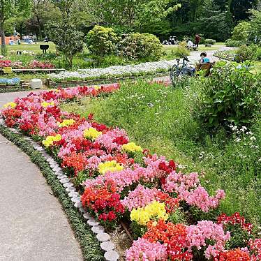 港区立芝公園のundefinedに実際訪問訪問したユーザーunknownさんが新しく投稿した新着口コミの写真