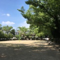 実際訪問したユーザーが直接撮影して投稿した尾浜町公園名月公園の写真