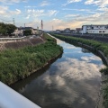 実際訪問したユーザーが直接撮影して投稿した河川恩智川の写真