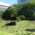 実際訪問したユーザーが直接撮影して投稿した後楽庭園小石川後楽園の写真