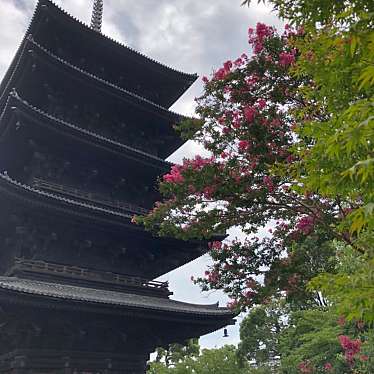 いちえもんさんが投稿した九条町寺のお店東寺/トウジの写真