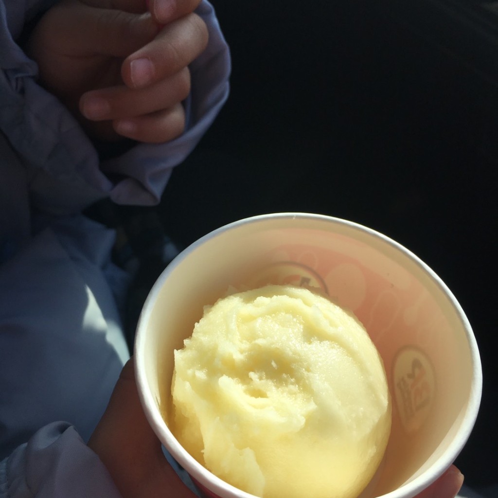 ユーザーが投稿したリンゴソルベの写真 - 実際訪問したユーザーが直接撮影して投稿した中町アイスクリームサーティワンアイスクリーム 学園前ロードサイド店の写真