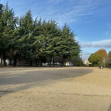 実際訪問したユーザーが直接撮影して投稿した亀岡町公園亀岡公園の写真