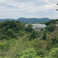 実際訪問したユーザーが直接撮影して投稿した五台山植物園 / 樹木園高知県立牧野植物園の写真