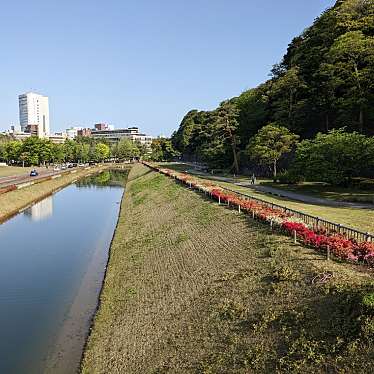 実際訪問したユーザーが直接撮影して投稿した丸の内歴史 / 遺跡いもり堀の写真