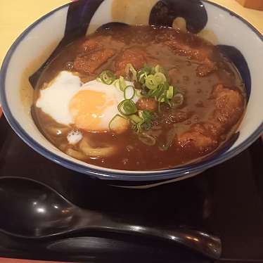 実際訪問したユーザーが直接撮影して投稿した泉崎丼もの神戸カツ丼 一どん 泉崎店の写真