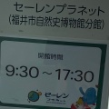 実際訪問したユーザーが直接撮影して投稿した中央博物館セーレンプラネット(福井市自然史博物館分館)の写真