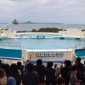 実際訪問したユーザーが直接撮影して投稿した石川水族館 / アクアリウムオキちゃん劇場の写真