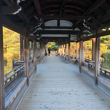 実際訪問したユーザーが直接撮影して投稿した岡崎西天王町神社泰平閣(橋殿)の写真