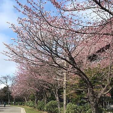 中島公園のundefinedに実際訪問訪問したユーザーunknownさんが新しく投稿した新着口コミの写真