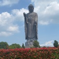 実際訪問したユーザーが直接撮影して投稿した久野町寺牛久大仏の写真