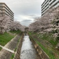 実際訪問したユーザーが直接撮影して投稿した恋の窪河川佐保川の写真