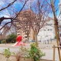 実際訪問したユーザーが直接撮影して投稿した恵比寿公園恵比寿東公園の写真