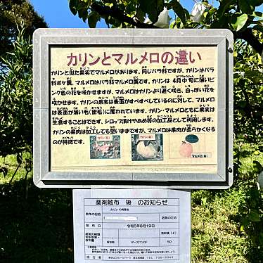 実際訪問したユーザーが直接撮影して投稿した上志段味味覚狩りカリン園の写真