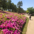 実際訪問したユーザーが直接撮影して投稿した精華台公園けいはんな記念公園の写真