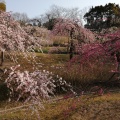 実際訪問したユーザーが直接撮影して投稿した緒川公園於大公園の写真