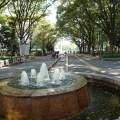 実際訪問したユーザーが直接撮影して投稿した栄公園白川公園の写真