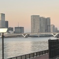実際訪問したユーザーが直接撮影して投稿した豊洲橋豊洲大橋の写真