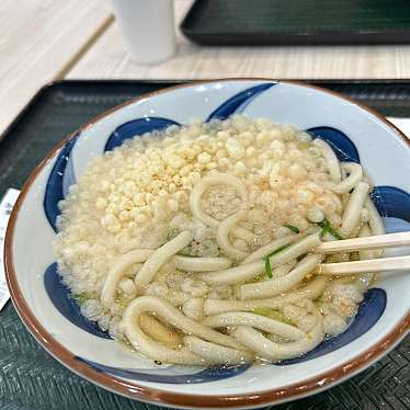 讃岐うどん うまげな ららぽーと横浜店のundefinedに実際訪問訪問したユーザーunknownさんが新しく投稿した新着口コミの写真